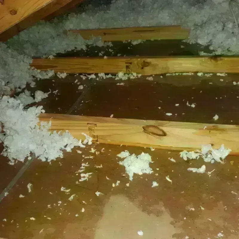 Attic Water Damage in East Ithaca, NY